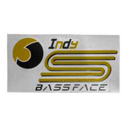 BFSS.1 IndyS Logo Small Car Window Decal Vinyl 8" Inch 20cm Black & Yellow